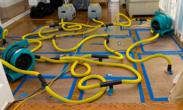 Professional Crawl Space Water Removal technician working in Demarest, NJ